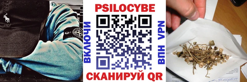 Купить  Новая Усмань  Галлюциногенные грибы Psilocybine cubensis 